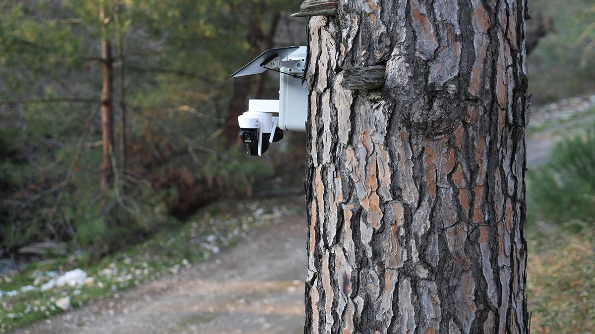 Altın Gibi Değerli: Güvenlik Kamerası Önlemi! Kilosu 3 Bin TL
