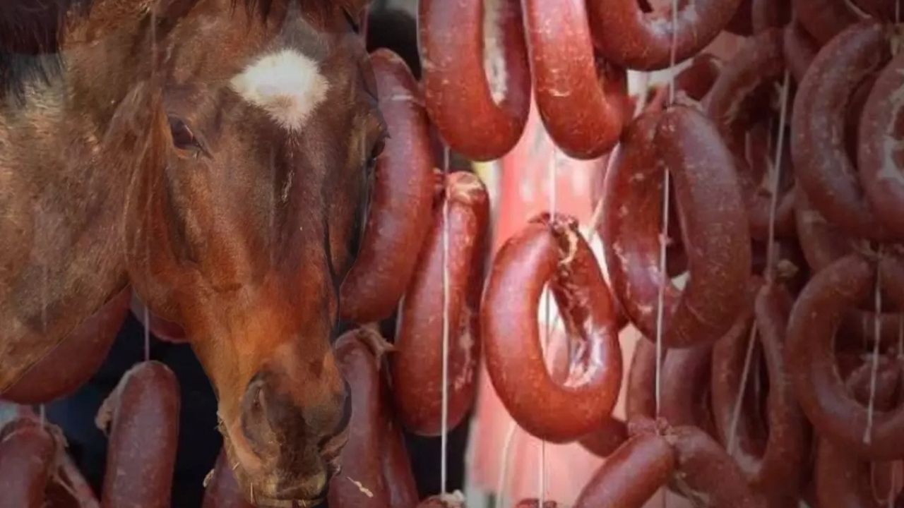 Vatandaşa At Eti Yedirmişler! Bakanlık Marka ve Üretim İlini Açıkladı