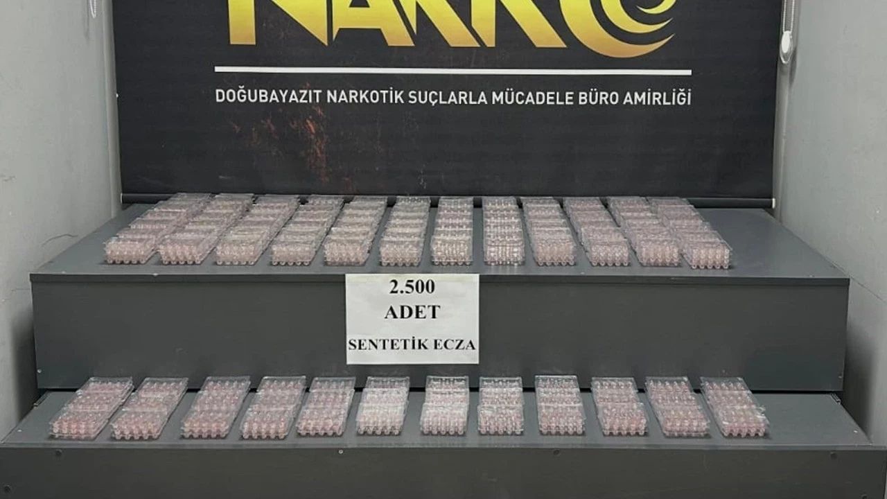 Doğubayazıt’ta Narkotik Operasyonu: TIR Dorsesinde 2 Bin 500 Uyuşturucu Hap Bulundu