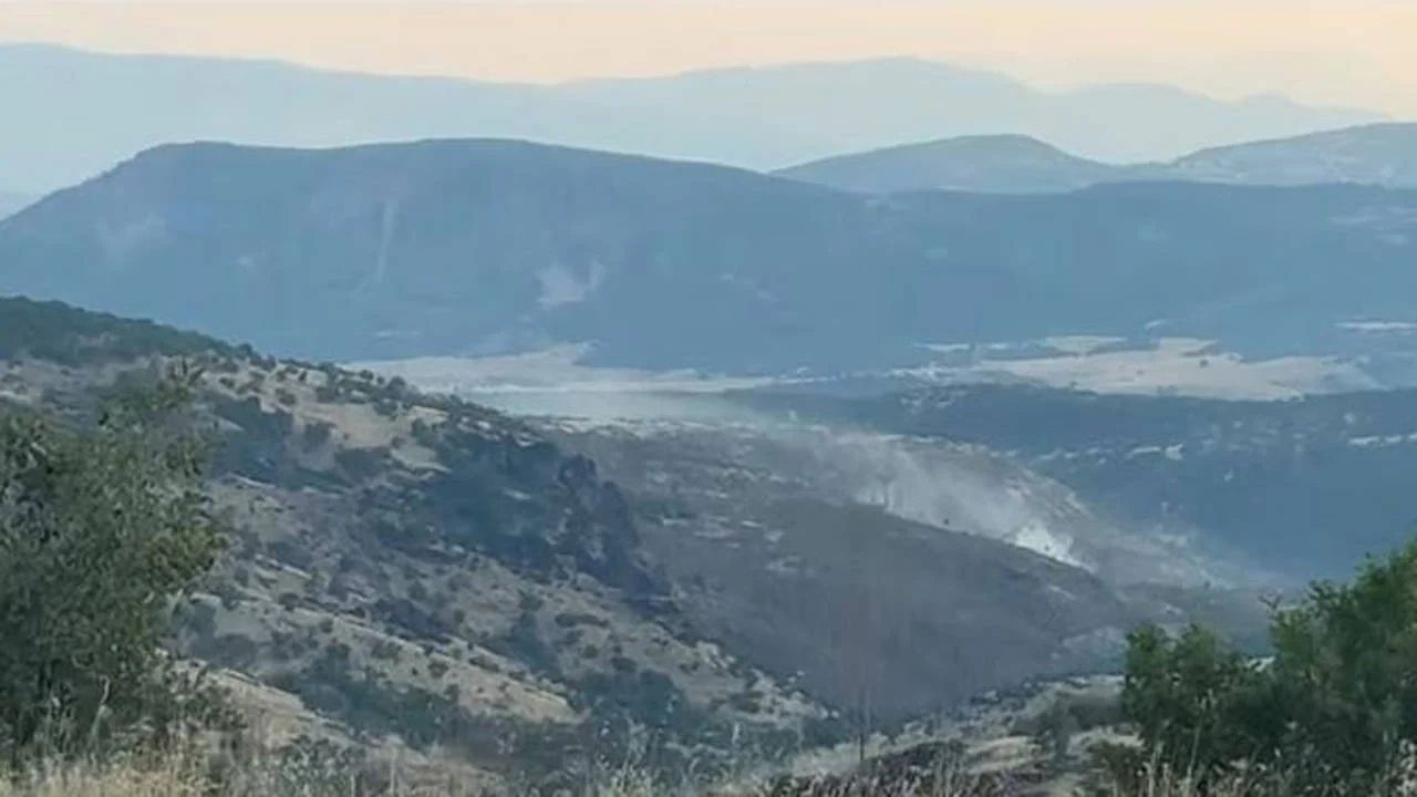 Elazığ’da Kömür Üretimi İçin Orman Kesimi İddiası Tepki Çekti