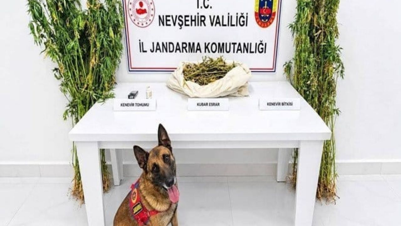 Nevşehir’de Uyuşturucu Operasyonu: Üç Şüpheli Hakkında İşlem