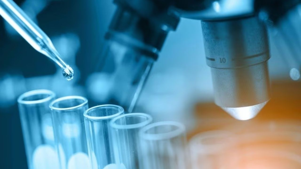 Çin’den Genç Bilim İnsanlarına 15 Yıllık Destek Hamlesi