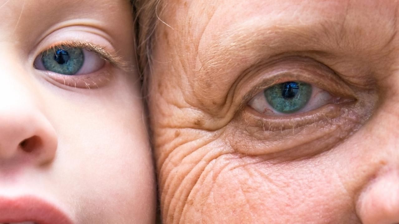 Pandemi Sonrası Küresel Yaşam Süresinde Toparlanma Başladı