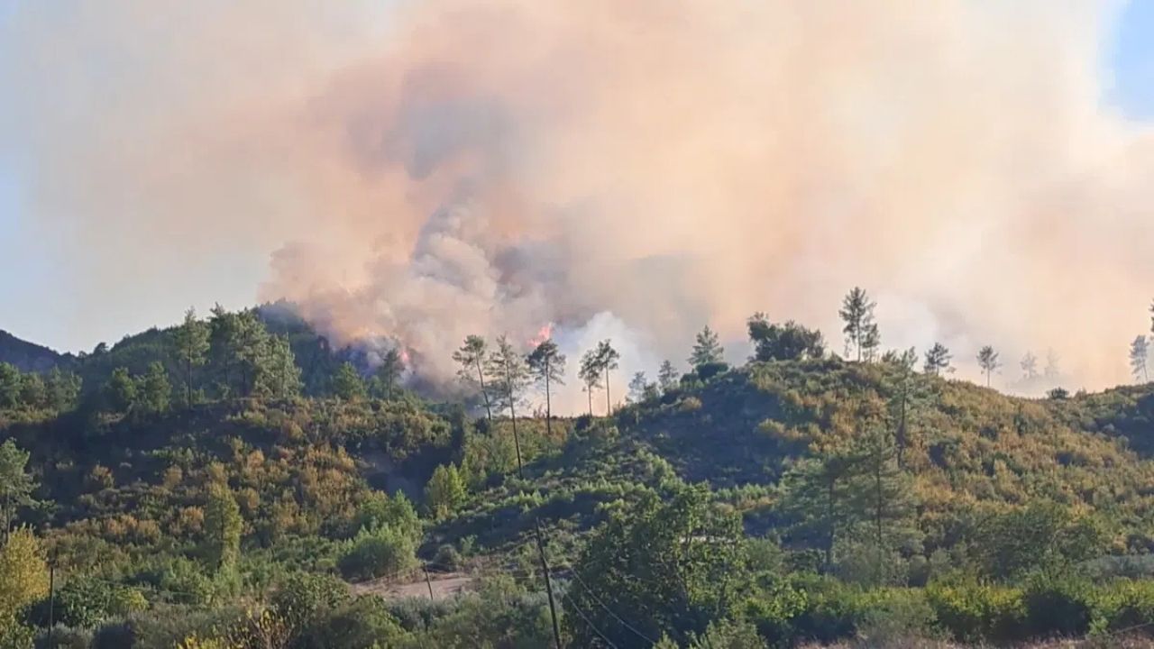 Antalya’da İki Orman Yangınıyla İlgili 6 Şüpheli Gözaltına Alındı