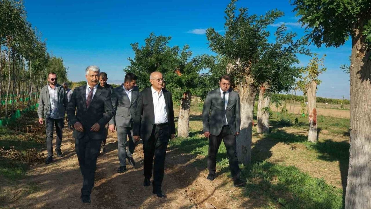 Malatya’da yılda 20 bin fidan ve 50 bin metrekare çim üretiliyor