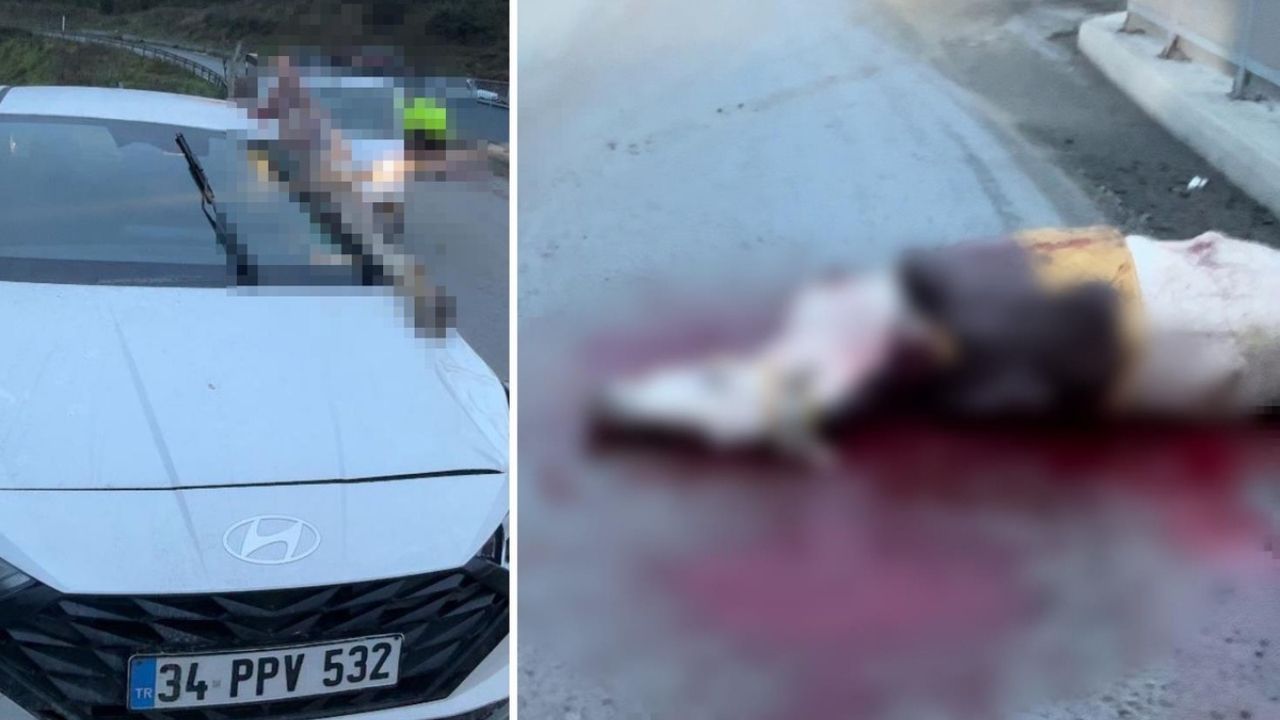 Arnavutköy’de Feci Kaza: Atın Kopan Bacağı Otomobile Saplandı