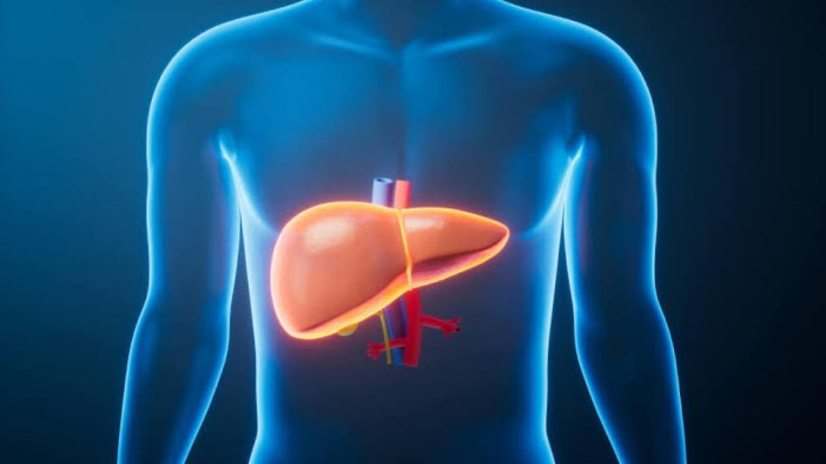Kanser Ve Siroz Arasındaki Bağlantı: Risk Faktörleri Ve Dikkat Edilmesi Gerekenler
