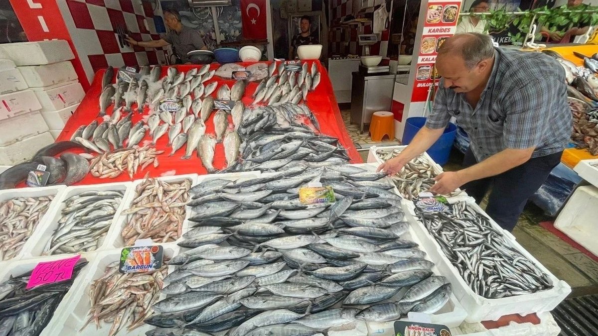 Karadeniz’de Palamut Bereketi: Tezgahlarda Fiyatlar 30 Liraya Kadar Düştü